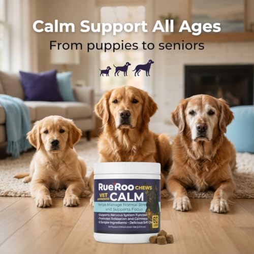 Dog Calming Soft Chews, L-Theanine, 60-Pack, 60 Ct