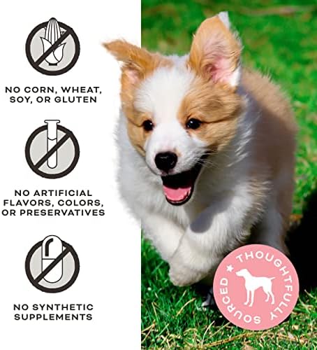 Primal My Butter Half, Dog Treats, Chicken & Peanut Butter, 2 oz (2 Pack)