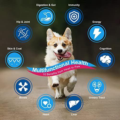 NATURE TARGET Glucosamine for Dogs Powder, Dog Vitamins Powder
