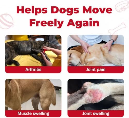 Dog Pain Relief, Dog Arthritis Pain Relief Support, Joint Pain Support for Dogs, Anti-Inflammatory Support for Mobility & Comfort, Helps Support Osteoarthritis Discomfort, Oral Suspension, 1.01 fl oz