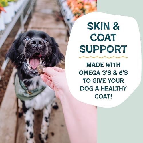 Shameless Pets Soft-Baked Dog Treats, Bananas for Bacon | Healthy Treats for Small, Medium & Large Dogs | Skin & Coat Support with Omega-3 & Omega-6 | Grain-Free, Made in USA | 6 oz
