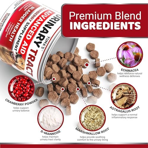 Cranberry Supplement for Dogs - 170 Chews - Dog UTI & Bladder Support | Urinary Tract Health, Vet-Formulated Multivitamin Chews with D-Mannose, Immune Support, Vitamins and Supplements, Made in USA