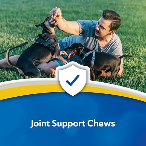 Doc Roy's Aches Away Mobility Support, Hip & Joint Soft Chews for Dog, 90ct