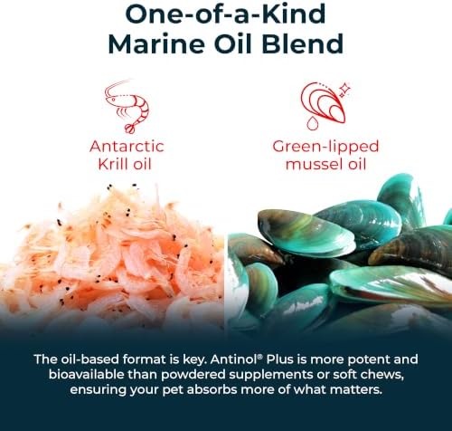 Antinol Plus Mobility Hip & Joint Supplement for Dogs, 60 Soft Gels