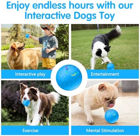 Interactive Dog Ball - 2.2" Durable Motion Activated Pet Bounce Ball for Puppy/Small/Medium Dogs, USB Rechargeable