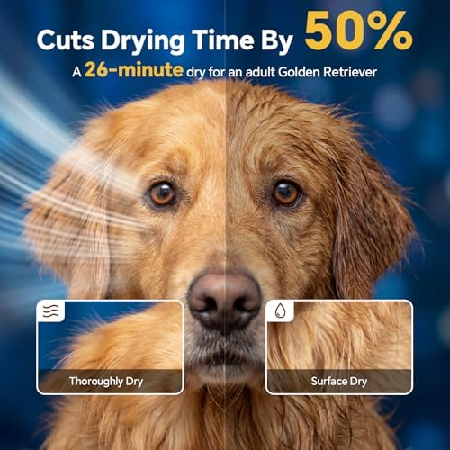 Dog Dryer High Velocity Dog Hair Dryer 5.2HP/3800W, Stepless Adjustable Speed Temperature Dogs Grooming Blow Dryer, Pet Dryer with 4 Nozzles,Blow Dryer for Dogs, Yellow