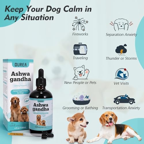 Ashwagandha Drops for Dogs