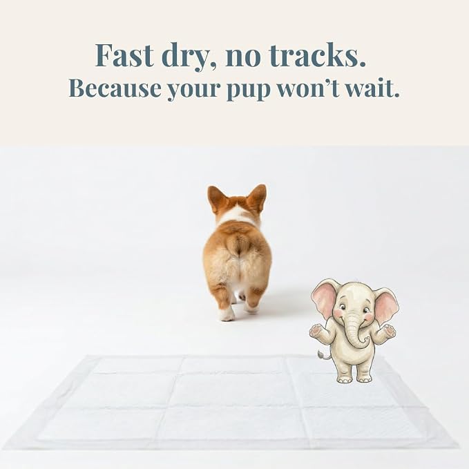 2X Super Absorbent & 2X Fast Absorption Puppy Pads for Dogs, 22”x22” 80 Count, Leak Proof Dog Pads, Unscented White
