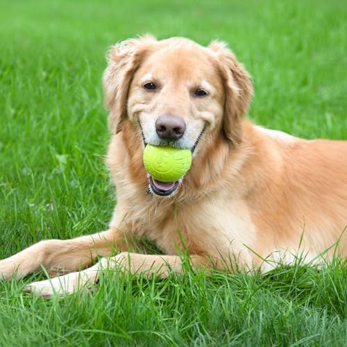 Chew King by Mammoth Supreme Rubber Dog Fetch Balls (8-Pack), Durable 2.5” Natural Rubber Balls with Safety Air Vent, High Bounce Fetch Toys for Aggressive Chewers, Launcher Compatible - Yellow