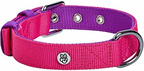 Blueberry Pet Iconic Color-Block Adjustable Dog Collar with Metal Buckle, Cerise and Dark Purple, Neck 13-16.5", for Medium Breed