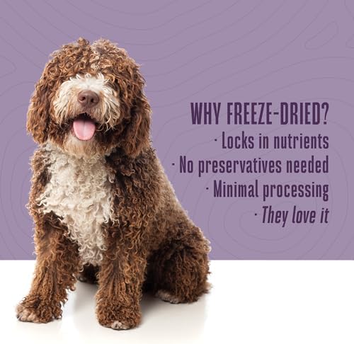 Whole Life Just One Chicken Freeze-Dried Dog Treats - 21 oz