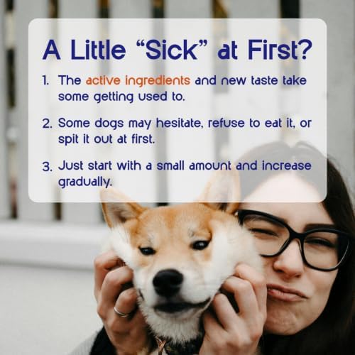 Dog Allergy Chews - Itch Relief, Paw Licking Remedy, Calming Aid, Seasonal Allergies Care, Immune Support with Probiotics - for Itchy & Dry Skin, Hot Spots & Itchy Ears - 60 Soft Chews