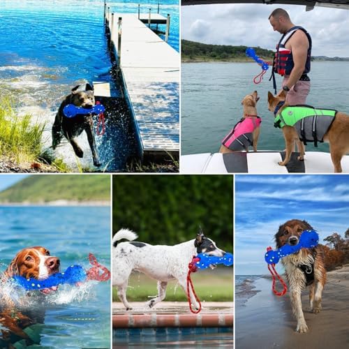 BABORUI Floating Dog Pool Toy, Blue Stick