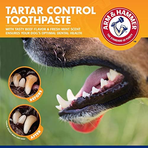 Arm & Hammer Tartar Control Enzymatic Dog Toothpaste, Beef, 2.5 Oz, 72-Pk | Enzymatic baking soda formula, meat flavor, plaque and tartar reduction, all dogs and puppies
