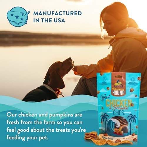 Chicken & Pumpkin Chips – Single Ingredient Dog Treats, All Natural & Healthy Training Snacks for Small, Medium & Large Breeds, Puppies – High Protein, 3oz (Pack of 2)