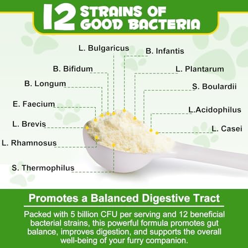 Probiotics Powder for Dogs - Pre & Probiotic Digestive Supplement with Digestive Enzymes & Prebiotics for Dog Support Gut Health, Seasonal Allergies & Immune System Dog Supplies Powder - 120 Scoops