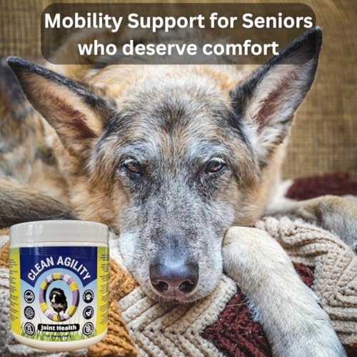 Joint Health for Dogs - Most Effective Hip and Joint Supplement Available - Formulated with Veterinarians, Glucosamine, Chondrointin, MSM, Turmeric (Soft Chew)
