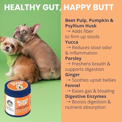 Under the Weather Scoot Stop Chews for Dogs | Vet Formulated No-Scoot for Dogs Supplement | Digestive & Anal Gland Support Support for All Breeds | 60 Count
