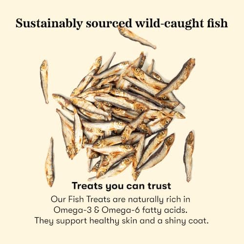 Plato Single Ingredient Wild-Caught Baltic Herring Dog Treats, Air-Dried Whole Fish, Omega-Rich Skin & Coat Support, 3 oz
