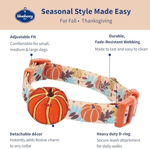 Blueberry Pet Fall Dog Collar, Small Dog Collar for Female & Male Dogs, Extra Small Dog Collar with Pumpkin Décor, Adjustable for Neck 12"-16", Eco-Friendly, Nickel-Free Hardware