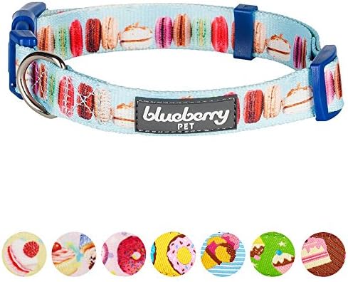 Blueberry Pet Essentials The Ultimate Macaroon Cake Adjustable Dog Collar, Medium, Neck 14.5"-20"