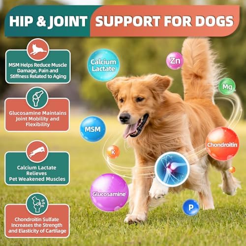 DRFOSTER Dog Multivitamin Supplements, Chicken Flavor, 180 Bites | Dog Vitamins and Supplements with Glucosamine, Probiotics & Omega-3 for Joint, Digestive, Skin, Coat & Immune Health