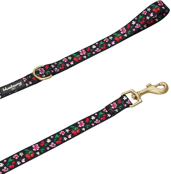 Blueberry Pet 9 Patterns Cherry Garden Black Dog Leash 5 ft x 3/4", Medium, Leashes for Dogs