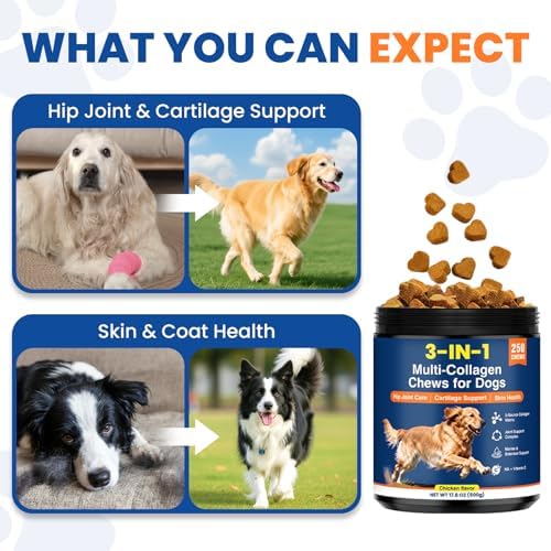 Multi Collagen Soft Chews for Dogs 250 Count for Hip & Joint Supplement Skin & Coat Health Cartilage Mobility Support with Glucosamine Probiotics Hyaluronic Acid Eggshell Membrane (Chicken Flavor)