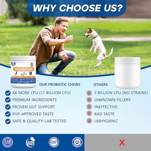 Probiotics for Dogs Dog Probiotic Chews for Yeast Itch Relief Ears Skin Coat, Gut Digestive Health & Immune Support with 11Billion CFU Probiotics, 6 Enzymes, 4 Prebiotics, Greek Yogurts, Pumpkin