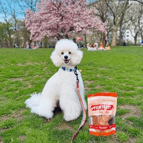 Farm To Pet Turkey Chips Dog Training Treats - Single Ingredient, 4oz