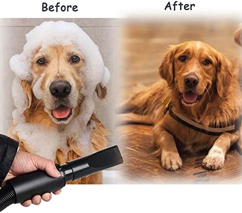 Dog Hair Dryer Blower Quiet, Pet Dryer Grooming Professional with Touch Screen Adjustable Speed High Velocity for Small Medium and Large Dogs Cats Pets,Orange
