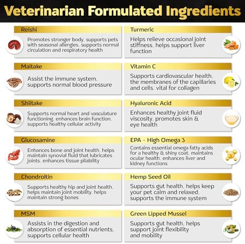 Premium Hip and Joint Supplement for Dogs, Glucosamine for Dogs with Chondroitin, MSM, Turmeric & Omega 3, Daily Dog Joint Supplement Soft Chews, Bacon, 30 Count