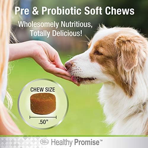 Four Paws Healthy Promise Pre & Probiotics for Dogs, 90 Count