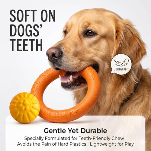 Large Dog Toy Ring & Ball Combo Set, Floating EVA, 2-Pack, Orange