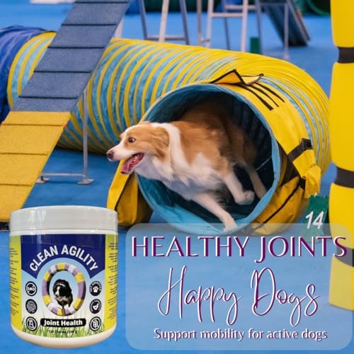 Joint Health for Dogs - Most Effective Hip and Joint Supplement Available - Formulated with Veterinarians, Glucosamine, Chondrointin, MSM, Turmeric (Soft Chew)