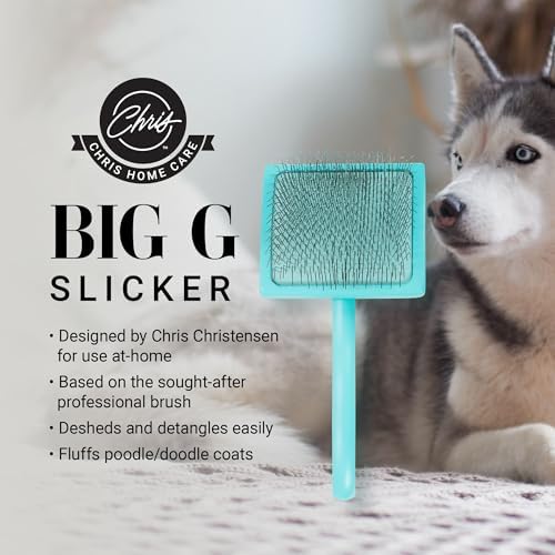 Chris Christensen Big G Dog Slicker Brush for Dogs (Goldendoodles, Large, Teal