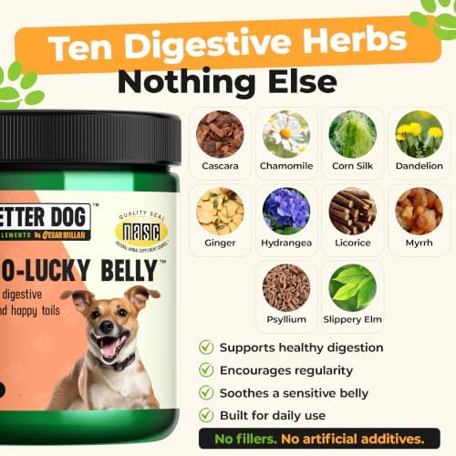Better Dog Happy-Go-Lucky Belly Digestive Support Powder for Dogs, 4 oz