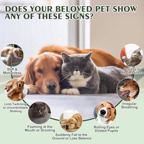 Seizure Guardian for Dogs and Cats, Natural Liquid Formula for Nervous System Comfort, Helps with Occasional Shaking, Tension & Stress, Easy Liquid Dropper, No Artificial Additives - 2 FL OZ