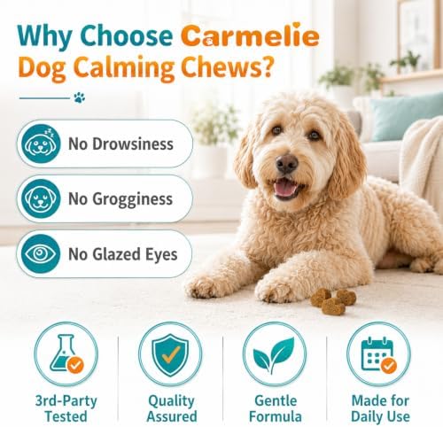 Hemp Calming Chews for Dogs Anxiety and Stress Relief with Melatonin, 200-Pack, 200ct