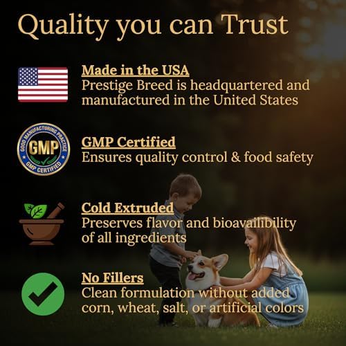 Multivitamins, Balanced Nutrition for Your Corgi, 90 Count, Made in the USA with Real Bacon