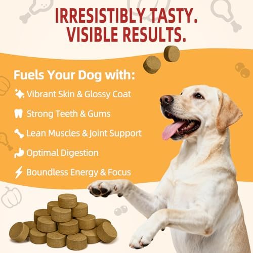 MAJOR PETS Freeze Dried Turkey Dog Treats with Pumpkin & Cranberry, Limited Ingredient High Protein Snacks for Digestive & Urinary Health, Grain Free, Training Reward & Meal Topper, Made in USA, 10oz