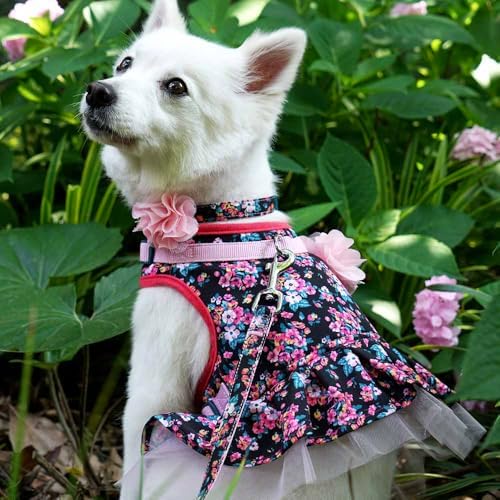 Blueberry Pet Made Well Elegant Floral Print Adjustable Dog Collar in Sleek Black with Pink Artificial Silk Flower, X-Small, Neck 7.5"-10"