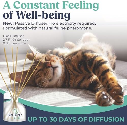 SIGNS SecureCat Calming Diffuser for Supporting Calm and Well-Being to Help Relieve Any Feeling