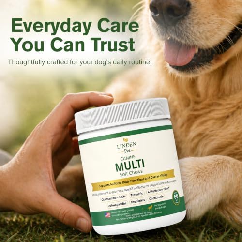 Dog Multivitamin Soft Chews, Probiotics, All Breeds, 60 Ct | Dog Vitamins, Daily Wellness, Salmon Oil & Omega-3, Skin & Coat, Gut Health, L-Carnitine, Turmeric, Senior Dogs, Joint Health