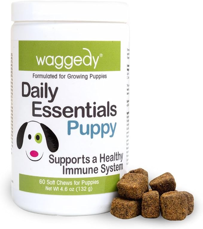 waggedy Daily Essentials Puppy – Full-Spectrum Functional Treats, Small or Large Breed Puppy Supplements – Dog Supplements & Vitamins – Dog Essentials for Puppies (60 Chews)