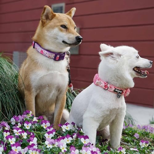 Blueberry Pet Soft & Comfy Peony Flower Print Neoprene Padded Adjustable Dog Collar, Mauve, Small, Neck 12"-16"