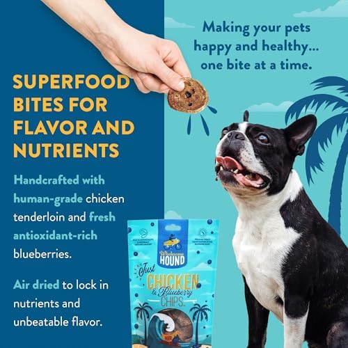 Chicken Blueberry Chips Dog Treats, 2-Ingredient, 7oz