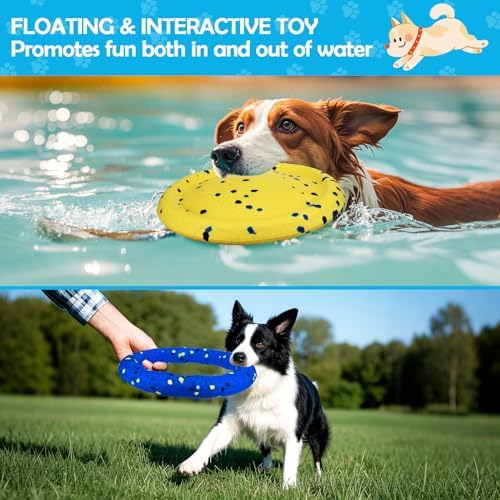 BABORUI Floating Dog Pool Toy, Blue Ring & Yellow Plate