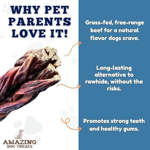 Amazing Dog Treats - 6 Inch Braided Gullet Stick (4 Pc/Pack) - Dog Jerky Treats - Beef Esophagus -Gullet for Dogs - Beef Esophagus Dog Treats