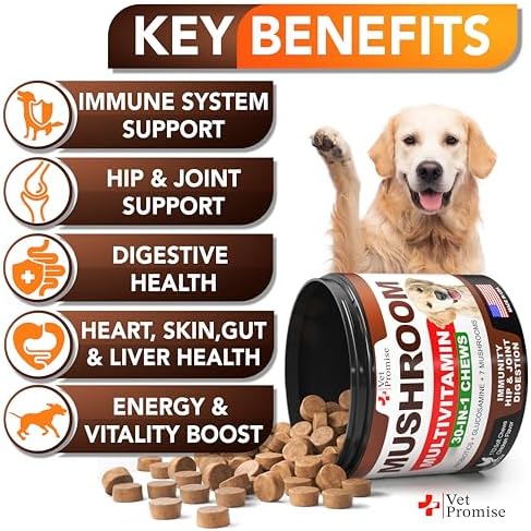 (2 Pack) Turkey Tail Mushroom for Dogs - 340 Chews - Mushroom for Dogs | Lion's Mane, Reishi, Shiitake, Immunity Support Multivitamin Vitamins for Joint Health, Energy, Gut, Skin & Coat, Made in USA